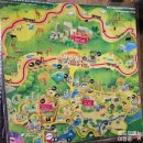 (주)게델와이 | 푸꾸옥 빈펄 사파리 후기｜아기랑 오픈런 동선+패스트패스 &amp; 주트램 이용 팁