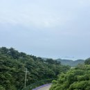 정아민박 이미지