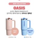 [광고]하루 종일 시원하게!스탠리 퀜처 프로투어 플립스트로 텀블러 사용 후기 🌿