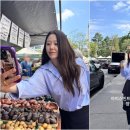 빵터졌네 이미지