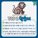 2024년 대박나는띠TOP3 이미지