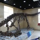 지질박물관 이미지