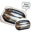 다올바다