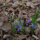 국용농장 이미지