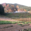 고역교