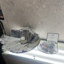 미나룸헤어 - 유성구 | [내돈내산] 후쿠오카 오리엔탈 익스프레스 텐진 호텔 퀸룸 화장실 냄새 빼곤 만족한 곳