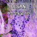 자수정동굴나라 입장료 놀이기구 총정리 울산 여행 필수 코스