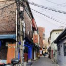 치즈밥있슈?(issue) 이미지