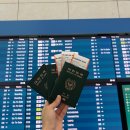 462 | [인천-다낭] 대한항공 특별기내식-동양채식 후기/피해야할 좌석../영화목록(KE457, KE462)