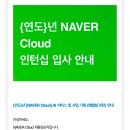 네이버클라우드 서비스 및 사업 기획 인턴 서류 및 면접 합격 후기 🍀