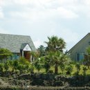 해조대 민박 Daum카페