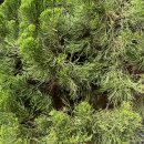 앤엠의원 이미지