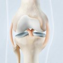 백년튼튼 정형외과 재활의학과의원 | 중화동 재활의학과 무릎 술식 후 빠른 회복을 위한 재활