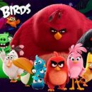 탑 태권도 이미지