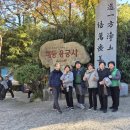 전으로 통하는 문화 | 부산 해동 용궁사 12지신상 해수관음대불 108계단 소원엽서 기도가 잘 통하는 절이랍니다