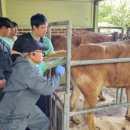 경상남도 축산연구소 이미지