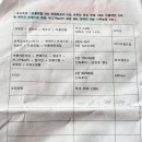 보홀 오토바이 대여 추천 후기, 가격, 렌트 팁