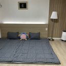삼호철새마을게스트하우스 화장실 | 삼호철새마을게스트하우스, 굴화짜글이, 나해돌솥밥, 세이지 티하우스🍵🌿