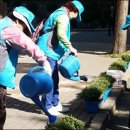 보성종합사회복지관 이미지