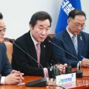 이낙연 카카오 검색결과