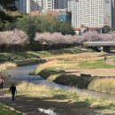 대동할매국수 | [김해 율하 맛집] 율하천 벚꽃 나들이 겸 들린 ‘대동할매국수’ 솔직 방문 후기! 🍜🌸