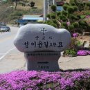 수원-1816 Daum카페