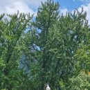 경천 농장 이미지