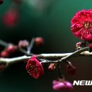 (주)제주아침 이미지