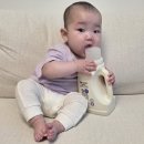 착한세탁 | 아기세제 유목민 정착! 성분 착한 몽디에스 아기세탁세제추천 이유