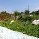 장고항1리 마을회관 이미지