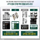 옥정 왕벚나무길 이미지