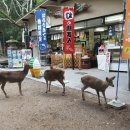 드림게스트하우스 이미지