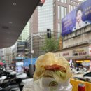엔돌픽 이미지