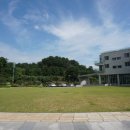 카페로그 - 연천군 밤골로 14-7 | 양양 카페 한국교과서협회 솔향기언덕 카페로그 북카페 이용후기