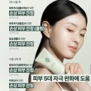 인셀덤 뷰티라이프 | 피부 열감 뚝! 인셀덤 카밍 밸런스 젤, 자이언트 병풀과 24K 골드의 역대급 진정 조합✨