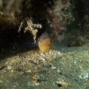 남해-277 이미지