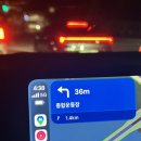 화지몽 | 노동절 금요일 새벽 5시 고속터미널 꽃시장 방문 후기