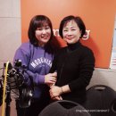 살롱널봄