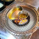 신세계꽃돼지