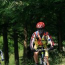 레드바이크 이미지