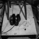 씨 없는 수박 김대중 카카오 검색결과