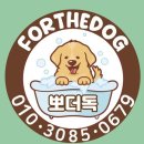 뽀더독(FORTHEDOG) 이미지