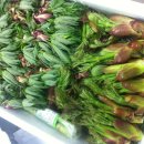 용강농장 이미지