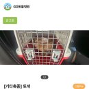 GD동물병원 이미지