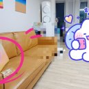 엘렌라이프 이미지