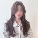 메르시헤어 이미지