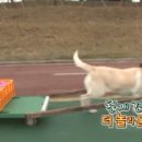 호야2농장 이미지