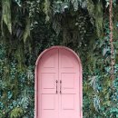 더 마을 핑크 이미지