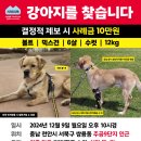 볼트 전단지 부착 도움을 요청드립니다 이미지