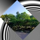 궁내체육관 | [서울 종로구] 궁궐투어 Ⅴ : 경희궁 (慶熙宮) - 1